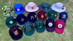Image result for Hodnet & Peplow Cricket Club
