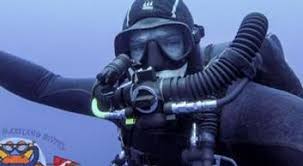 Image result for Southdown Divers