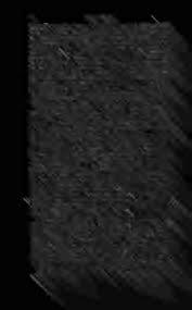 Attēlu rezultāti vaicājumam “Badhamia lilacina sessile”