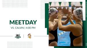 Image result for Cleveland Divers