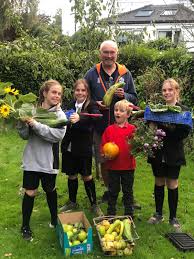 Image result for Burley-In-Wharfedale Cricket Club