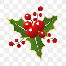 Image result for SIMBOLO DE NATAL