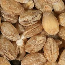 Attēlu rezultāti vaicājumam “Hordeum vulgare fruit”