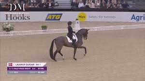 Image result for Interfreestyle Sport Karate