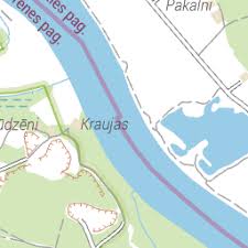 Attēlu rezultāti vaicājumam “Dryophilocoris flavoquadrimaculatus imago”