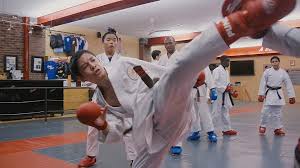 Image result for Reading Karate-Do Shotokai