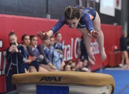 Image result for Wyre Forest School Of Gymnastics