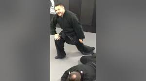 Image result for Bujinkan Dojo Seijitsu
