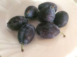 Attēlu rezultāti vaicājumam “Prunus domestica subsp. insitita fruit”