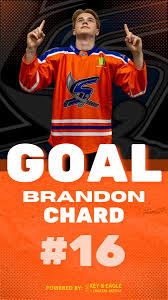 Image result for Sheffield Scimitars