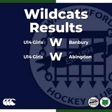 Image result for Wallingford Hockey Club