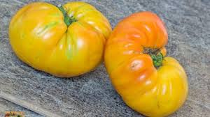 Afbeeldingsresultaat voor butter and bull heart tomato