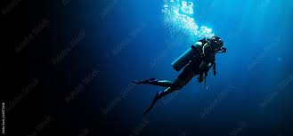 Image result for Deep Blue Diving