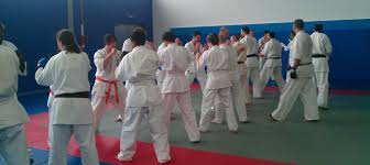 Image result for Ryuko Dojo