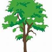 Image result for Elham Valley Cricket Club