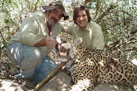 Image result for Brazilia 1980 Jaguar