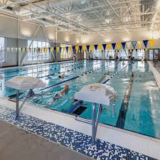 Image result for Alton & District Swimming Club