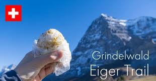 「イルミンガルド・スノーレヴィク」の画像検索結果