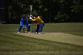 Image result for Chipstead Coulsdon & Walcountains Cricket Club