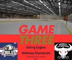 Image result for Ealing Eagles Ball Hockey Club