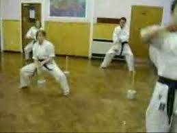 Image result for Excalibur Shotokan Karate Club