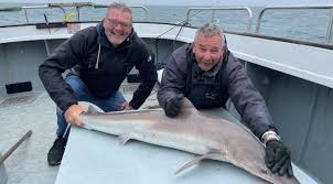 Image result for Chichester Sharks