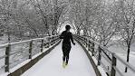 Blizzard Expected for 250-Mile Stretch of Northeast - ABC News