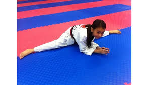 Image result for Kees Tae Kwon Do