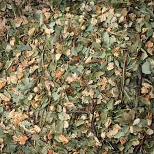 Attēlu rezultāti vaicājumam “Crataegus laevigata leaf”