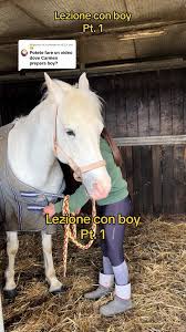 Image result for Carman Stables