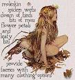 The Care and Feeding of Faeries
