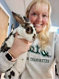 Image result for Fern Gray 1973 Jaguar