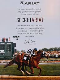 Image result for The Chobham Common Riders Association