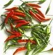 The Biotech Weblog: Capsaicin Drug Candidate Under Trials for Post ...