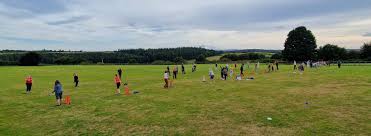 Image result for Chulmleigh & Mid Devon Cricket Club