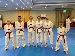 Image result for Bytomic Tae Kwon Do Bracknell