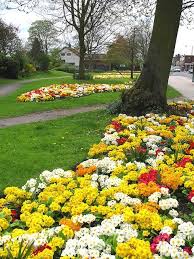 Image result for West Finchley B C