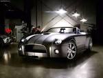 Ford Shelby Cobra Concept (