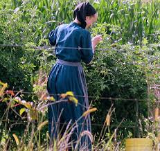 Image result for amish dress