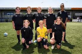 Image result for Warsash Wasps Sports & Football Club