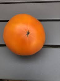 Afbeeldingsresultaat voor belarus orange tomato