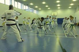 Image result for Bytomic Tae Kwon Do Beaconsfield