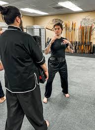 Image result for kung fu
