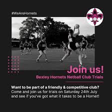 Image result for Hornets Netball Club