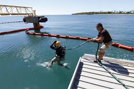 Image result for Deep Blue Diving