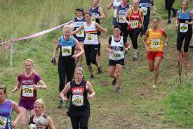 Image result for Alnwick Harriers