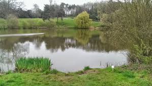 Image result for Bathampton Angling Association