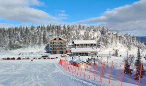 Image result for British Norwegian Ski Club