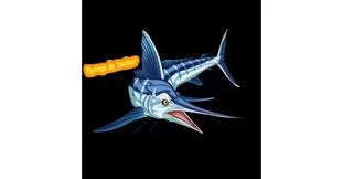 Image result for Kajikia albida