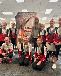 Image result for Hemsworth Odyssey Gymnastics Squad